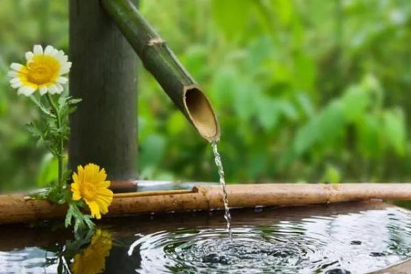 2017年出生的女孩命卦解析：揭示命运的秘密与人生的可能性