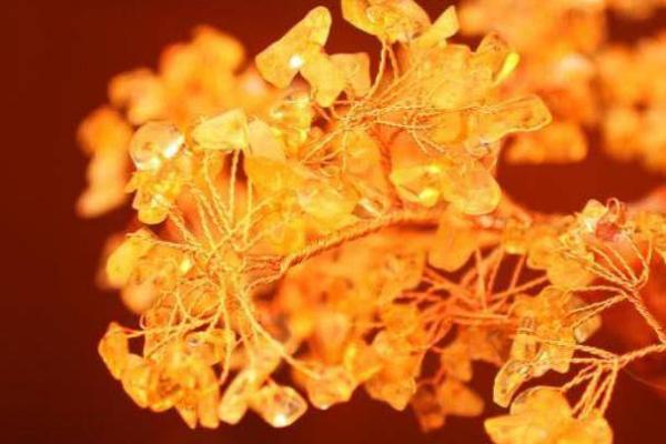 2001年5.30出生的命运解析:你的命格与未来的精彩旅程 2001年5.30出生的命运解析:你的命格与未来的精彩旅程