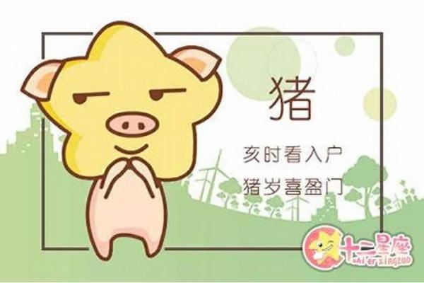 56岁的人是什么命？生肖与命运的有趣关联