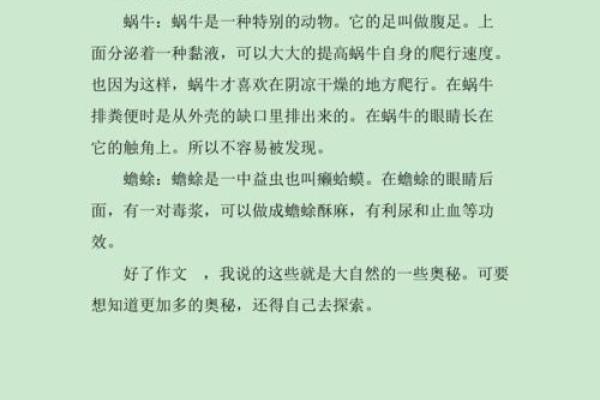 根据手机尾数看你命运，揭示生活的奥秘与巧合
