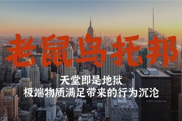 老鼠年的命运揭秘:二十年后的你将如何逆袭成功? 老鼠年的命运揭秘:二十年后的你将如何逆袭成功?