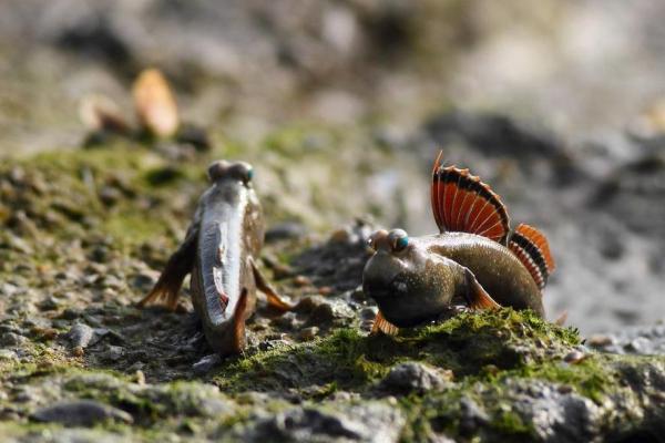 洞下水命：忌讳颜色与命运之道的深度解析