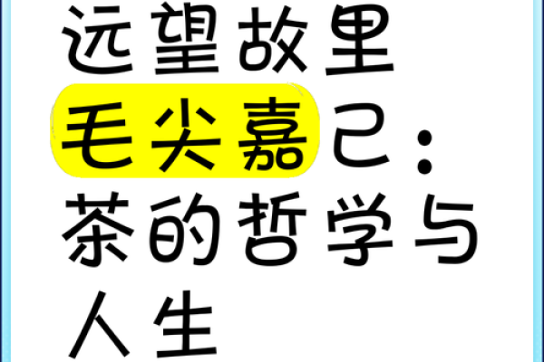 在家喝茶的人的命运：品茶的哲学与人生感悟