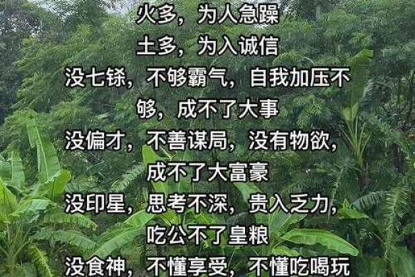 探秘木命食神:与生肖的神秘联系 探秘木命食神:与生肖的神秘联系