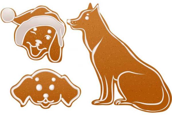 2015年鸡年命人:性格解析与未来发展 2015年鸡年命人:性格解析与未来发展