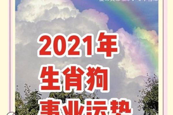 1992年属狗命的运势解析:如何把握人生中的机遇与挑战 1992年属狗命的运势解析:如何把握人生中的机遇与挑战
