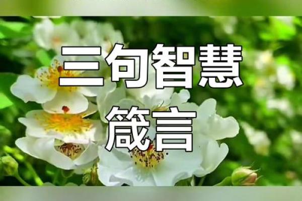 揭秘命理偏移：如何利用这一概念引导人生走向成功