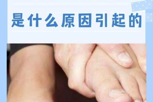 脚趾的秘密:从足部看命运,了解你的内在潜力与性格特征 脚趾的秘密:从足部看命运,了解你的内在潜力与性格特征