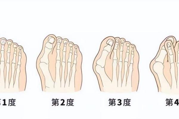 脚趾的秘密:从足部看命运,了解你的内在潜力与性格特征 脚趾的秘密:从足部看命运,了解你的内在潜力与性格特征