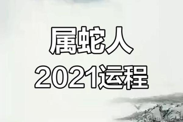 2021年生肖运势解析:哪些生肖命最好,如何把握运势机会? 2021年生肖运势解析:哪些生肖命最好,如何把握运势机会?