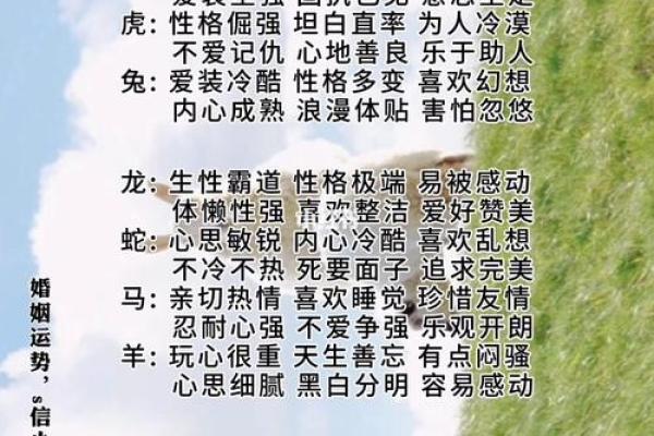命理与性格：根据命理解析你的个性特点