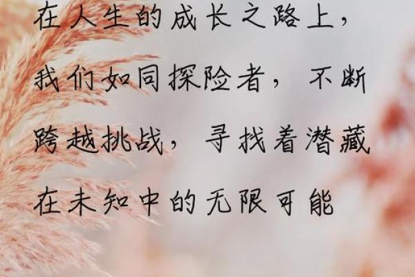 2033年命运解析:探寻未来的运势与人生之路 2033年命运解析:探寻未来的运势与人生之路