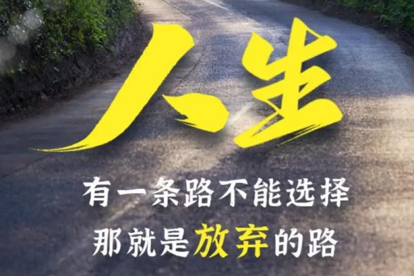 有多努力就有什么命：奋斗的意义与人生的选择