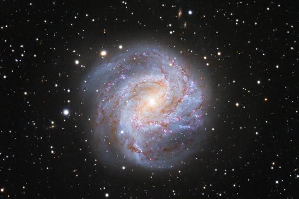 探秘宇宙:头上几个旋是什么命的奥妙之旅 探秘宇宙:头上几个旋是什么命的奥妙之旅