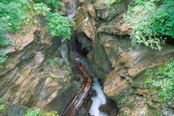 大溪水命:探寻生活中的自然智慧与心灵力量 大溪水命:探寻生活中的自然智慧与心灵力量