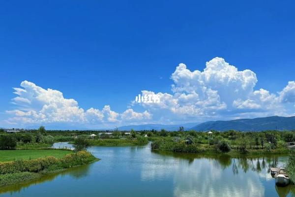 大溪水命:探寻生活中的自然智慧与心灵力量 大溪水命:探寻生活中的自然智慧与心灵力量