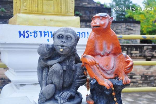 肩膀有猴子的命运解析:隐秘的特征与生活启示 肩膀有猴子的命运解析:隐秘的特征与生活启示