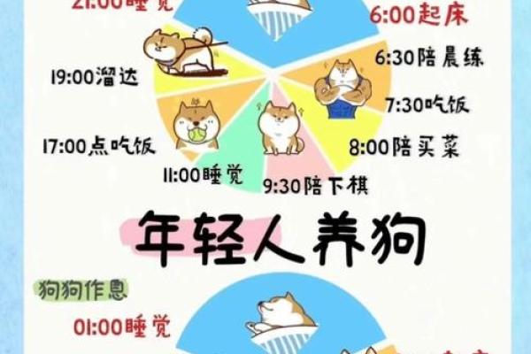 1970年狗年出生的人是什么命，命理分析与人生建议