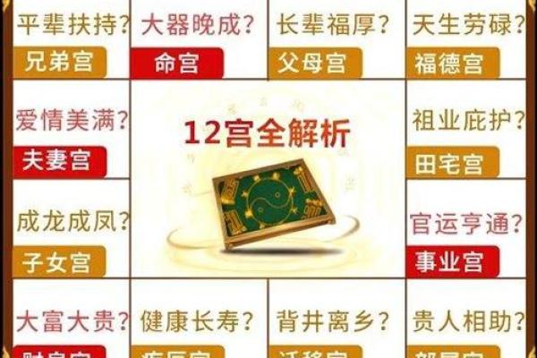 如何通过紫微命盘理解父母的影响与个性