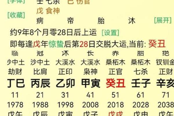 乙酉丙午庚寅命解析：你是一颗闪耀的星星！
