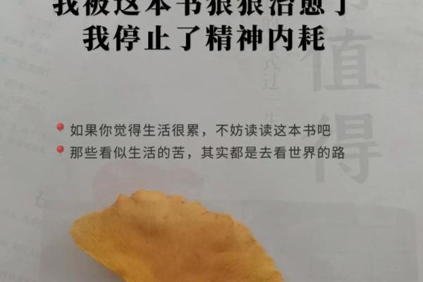 杨柳木命的特质与适宜之道：如何找到内心的平衡与和谐