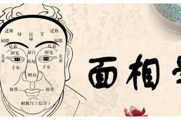 探寻命运的奥秘：称命算卦先生的智慧与魅力