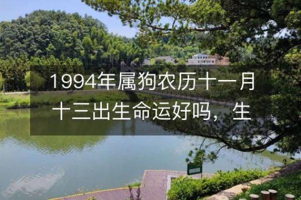 1994年出生的生肖属于狗，运势如何？