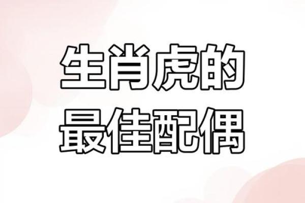 1974年虎命与生肖配对的最佳选择与分析