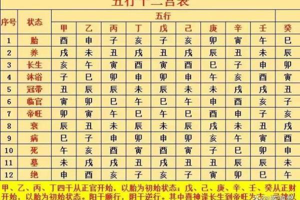 揭秘十二地支命煞:命理学中的神秘之门 揭秘十二地支命煞:命理学中的神秘之门