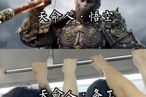 血型与打工命：你是哪种命运的打工人？