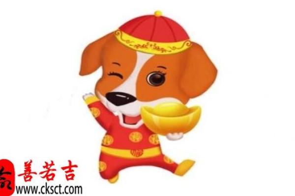 2023年狗年的命理分析：如何顺应时代，把握命运之门