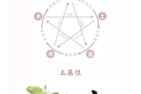 土命人适合从事哪些职业？探索事业选择之道！