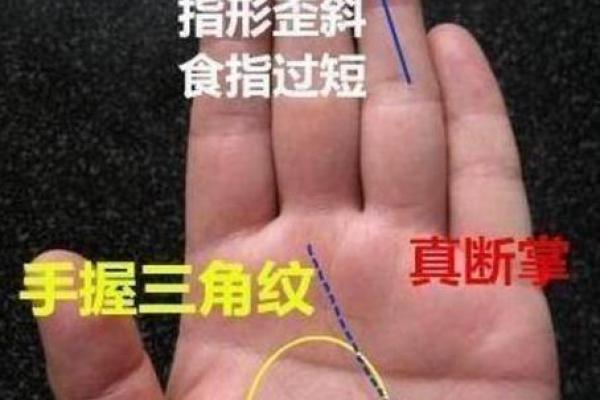 铁扫帚命的男生，究竟适合什么样的女孩？