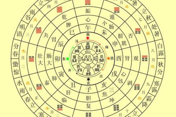 1955年出生的人命理特点与补救之道