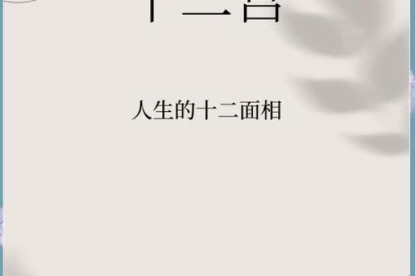 中庭较长的人运势：探索命理与人生的奥秘