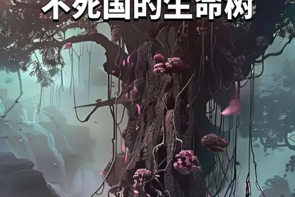 木命人缺什么与补救方法探秘：福泽深厚的生命之树