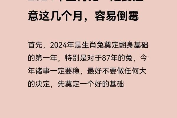 兔年出生的人属什么命？揭开兔命的神秘面纱！