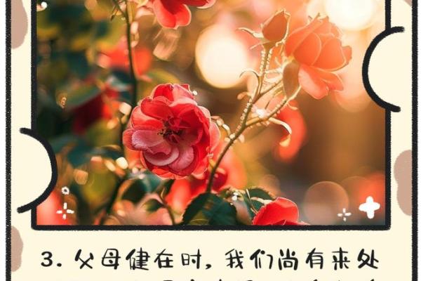命运交织，干爹干妈的温暖与责任的牵绊