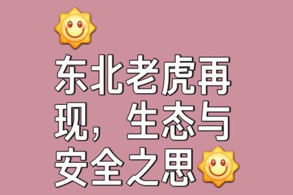 夏季虎宝宝：守护与机遇并存的生命符号