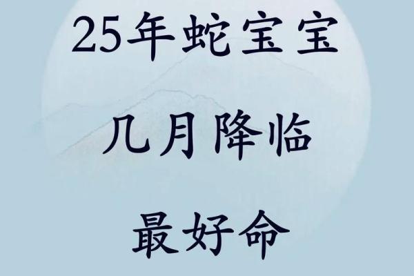 揭秘蛇年出生的人的命运特点与性格解析