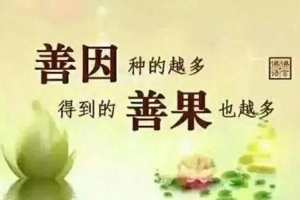 探讨满命天赋材料与未满命材料的差异：为什么选择满命更具优势