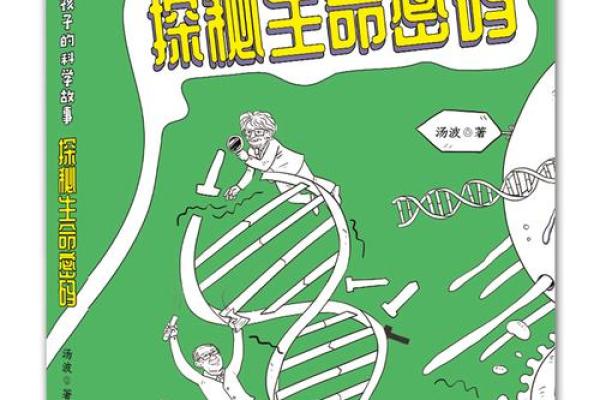 探索生命密码：3与8的命运之旅与自我发现