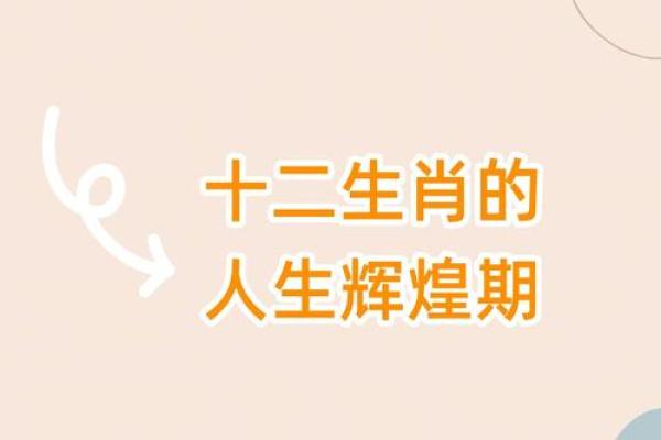兔年69岁的命运解析：从生肖文化看人生辉煌与挑战