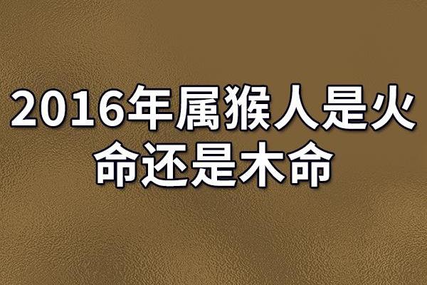 木命相克的哲理：探析木命之间的纷争与和谐