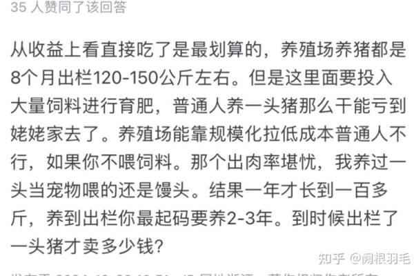 属猪人48岁命运分析：快乐与挑战并存的生命之路