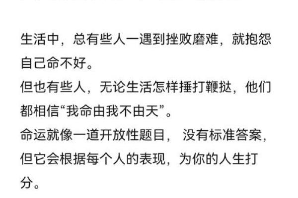 一九三零零四年命运解析：解读个性与人生之路的智慧之光