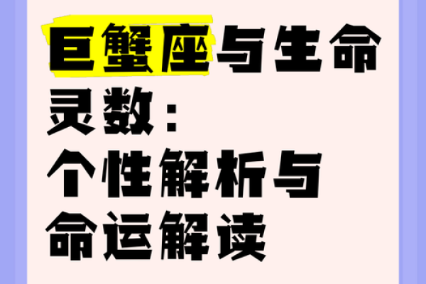 一九三零零四年命运解析：解读个性与人生之路的智慧之光