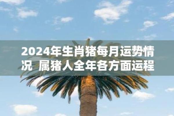 属猪命最好的运势：从五行看究竟是何金木水火土？