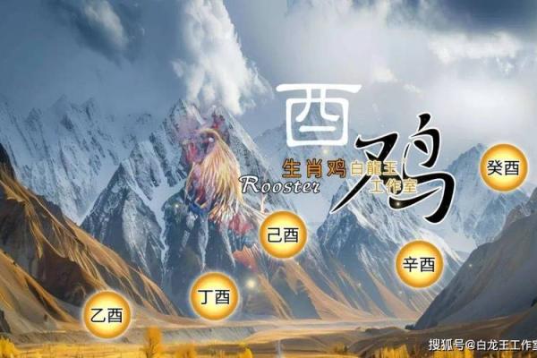 60岁属鸡的命运分析：揭开人生的神秘面纱