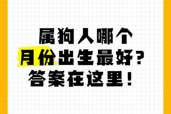属狗辰时出生的命运解析：如何开启人生的幸福之旅